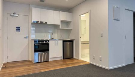 Newly Renovated Apartment - Photo 4