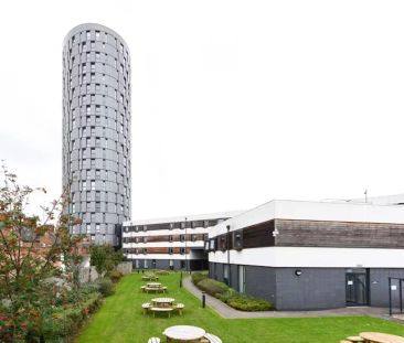 Tower Studio Bronze - Photo 6