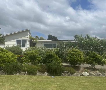 Sunny and inviting! - Photo 5