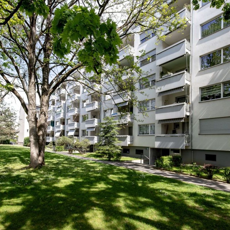 Zwischen Gartenbad Bachgraben und Kannenfeldpark - helle und freundliche 3-Zimmerwohnung in Basel - Photo 1