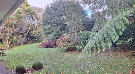 Secluded Family Home - Photo 4