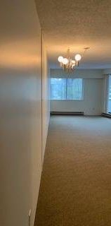 1 Bedroom Apartment in Kitsilano - 2 BLOCKS TO KITS BEACH - Photo 1