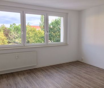 *Mitten in der City & am Großen Garten* - Foto 1