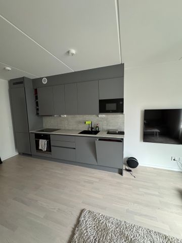 Lasarettsgatan, Jönköping - Photo 3