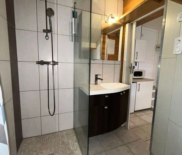 Location Appartement 1 pièce 23m² VICHY 03200 - Photo 5