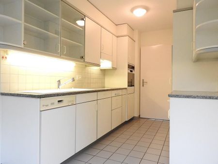 Charmante Wohnung direkt neben dem Rosengarten - Foto 2