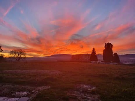 5.5 Zimmer - Photo 1