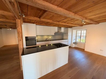 moderne 4 1/2 Zimmerwohnung zu vermieten - Photo 3