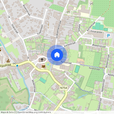 Bloemenstraat 31 / 5, 3830 Wellen