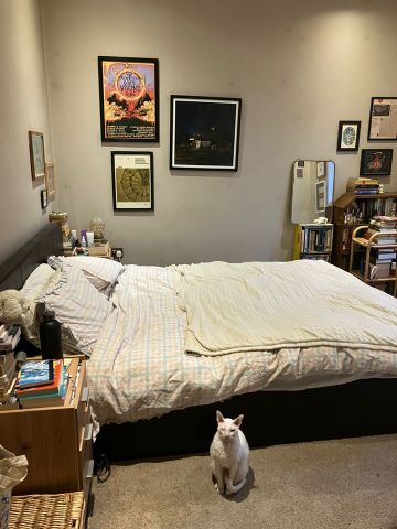 1 Bed Flat, Streatham Common North, SW16 - Photo 4