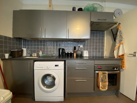 Llanbleddian Gardens GFF, Cathays - Photo 3