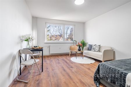 Pronájem bytu 1+1 35 m², Dělnická 852, Liberec - Photo 4
