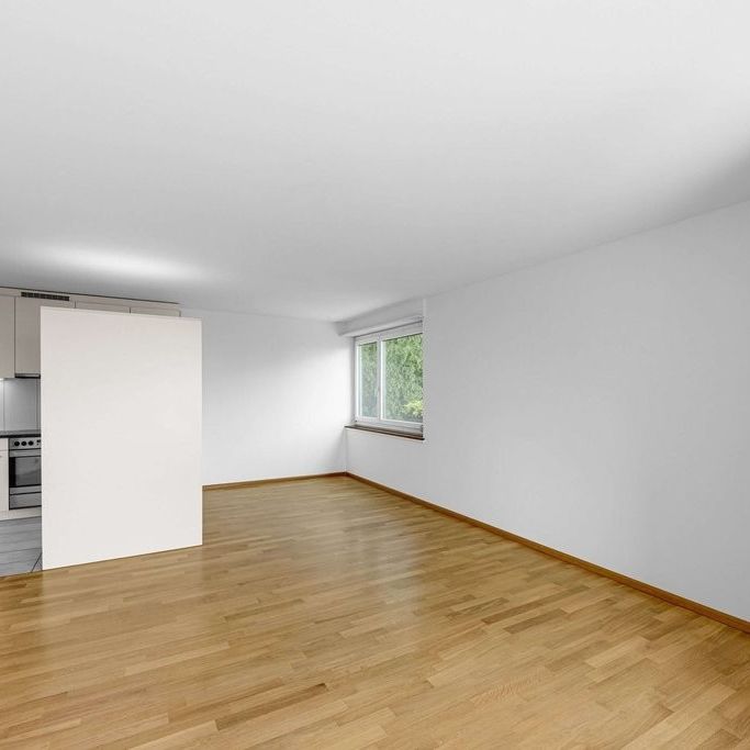 Über den Dächern von Basel - Photo 1