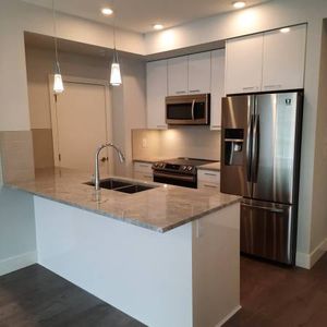 Spacious 1Bedroom and Den Condo - Photo 2