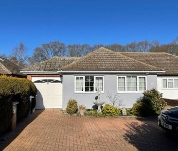 4 bedroom bungalow to rent - Photo 6