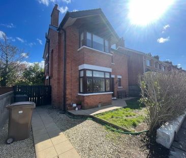 25 Wandsworth Gardens, Belmont Road, BT4, Belfast - Photo 6