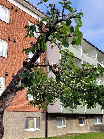 Skolvägen, Vagnhärad - Foto 2