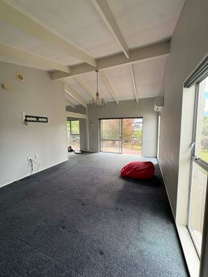 16 Martyn Street - Photo 1