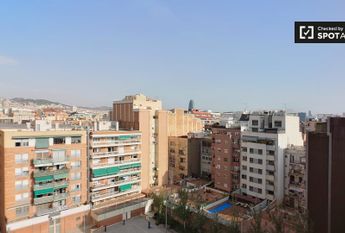 barcelona, Catalonia 08005