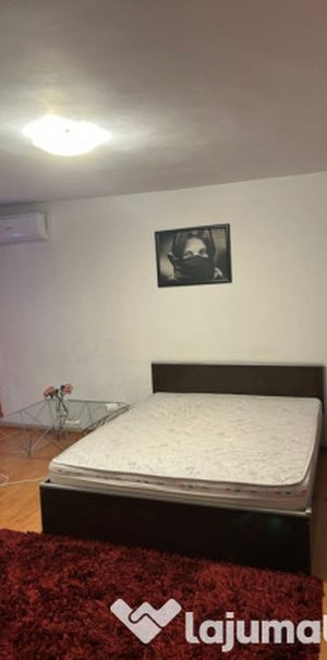 Brancoveanu baltita etaj 2 din 4 - Fotografie 1