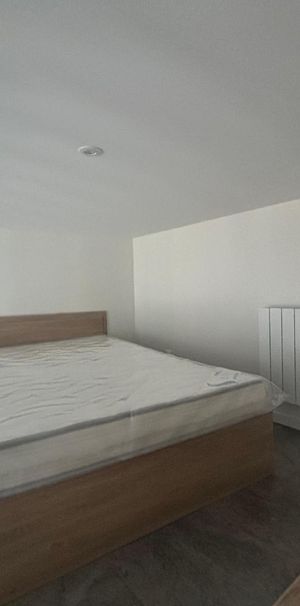Location Appartement 1 pièce 18m² ST ETIENNE 42000 - Photo 1