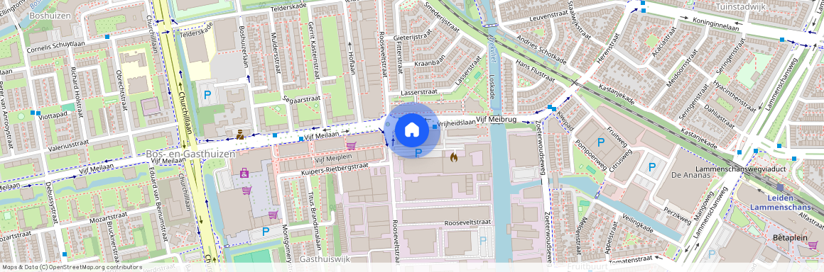 Rosenburch 145, LEIDEN