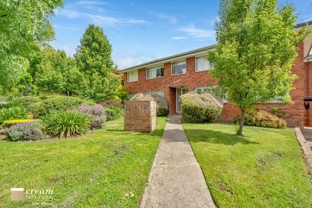 5/4 Nuyts Street, Red Hill ACT 2603 - House For Rent | Domain - Photo 2