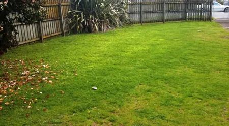 Spacious 3 bedroom with double garage! - Photo 4