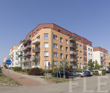 Pronájem bytu 2+kk 51 m2 - Photo 4