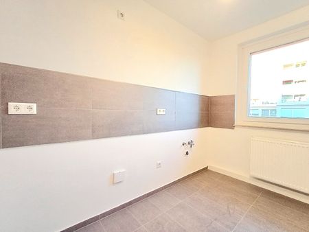 In den Leibnizgärten… - Photo 5