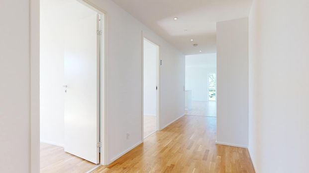 Teglgårdshaven – med udsigt ad libitum - Foto 1