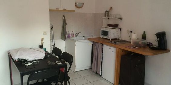 Location Appartement 1 pièce 21m² DAMMARTIN EN GOELE 77230 - Photo 3