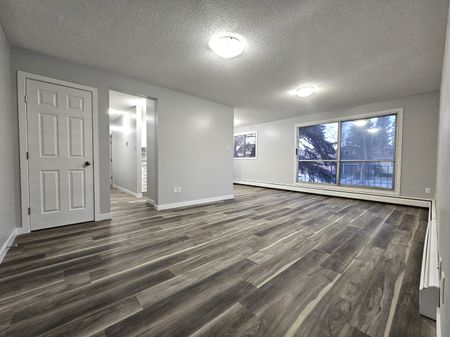 AMAZING FULLY RENO'D Apartment in Lacombe! CATS OK! - Photo 3