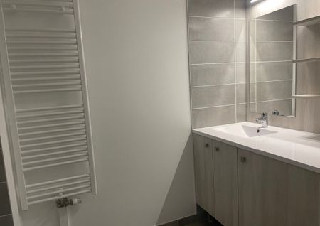 Location Appartement 2 pièces 43m² TOULOUSE 31300 - Photo 5