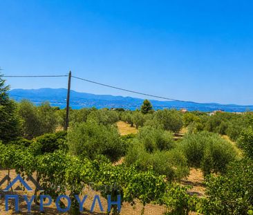 Διαμέρισμα για ενοικίαση Κέντρο (Ερέτρια) - Photo 6