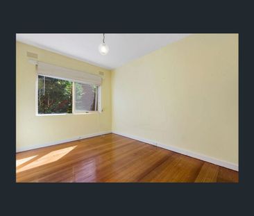 3/42 Northcote Avenue, Balwyn, Vic 3103 - Photo 5