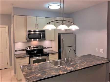 Thurston Apts - T-306 - Photo 3