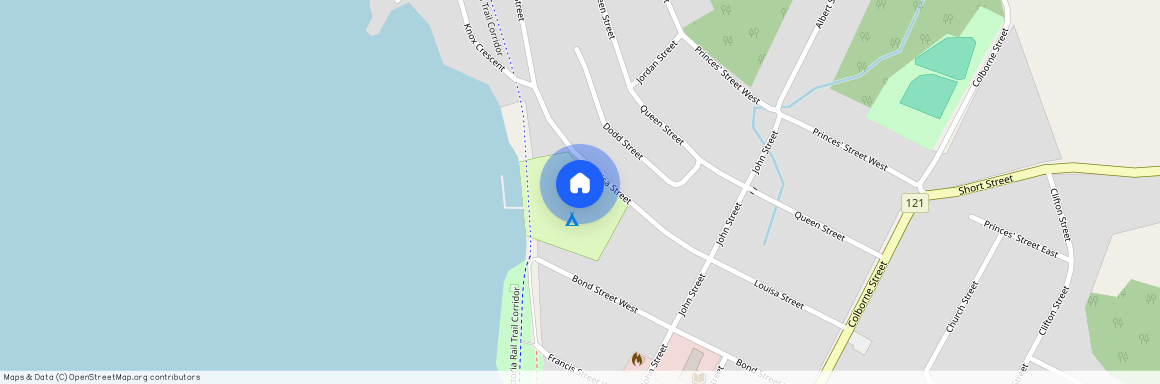 99 Louisa Street, Kawartha Lakes