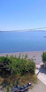 Διαμέρισμα για ενοικίαση Νέα Παλάτια (Ωρωπός) - Φωτογραφία 4