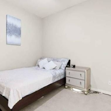 PET FRIENDLY APARTMENT - Photo 4