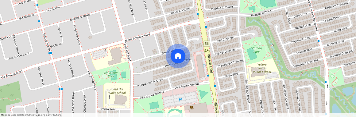 157 Hollywood Hill Circle Unit# Lower, Vaughan