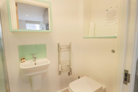 Studio Apartment – Professional Let, Student Let - Photo 3