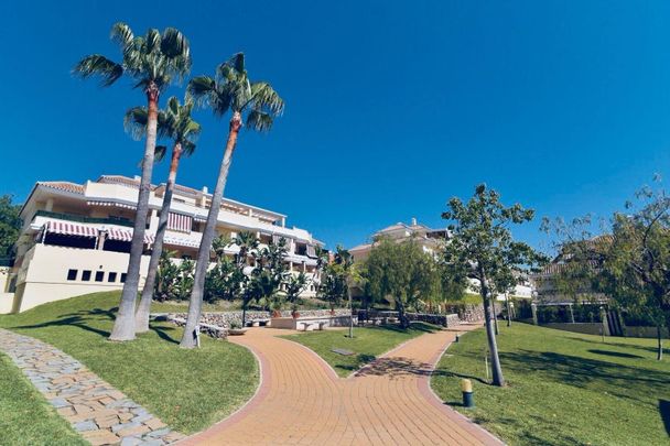 Planta baja de alquiler en Calle Aligustres de Baviera, 14, Caleta de Vélez - Photo 1