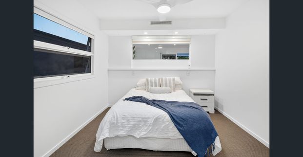 Dual Occupancy Property - 2 Dwellings in 1! - Photo 1