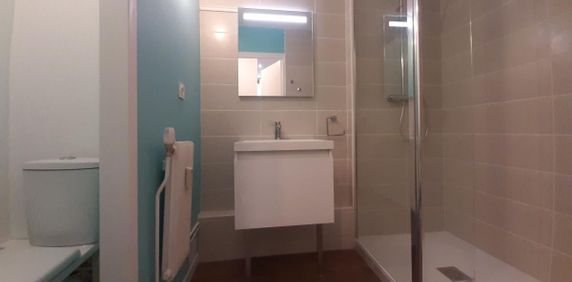 Location Appartement T1 Toulouse 1 chambre - Photo 2