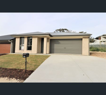 3A Gilbert St, Ingle Farm, SA 5098 - Photo 2