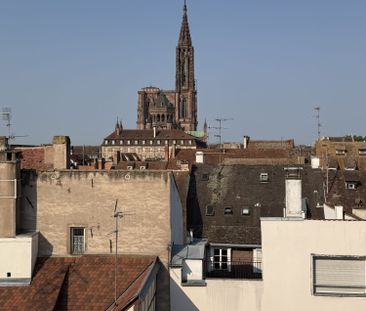 Location Appartement 2 pièces 43m² STRASBOURG 67000 - Photo 5