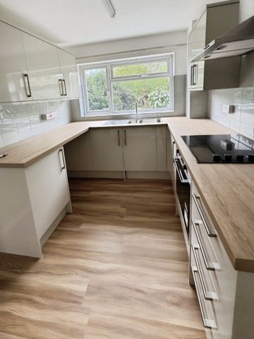 3 bedroom House To Let - Photo 3