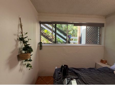 Burleigh Heads - Photo 3