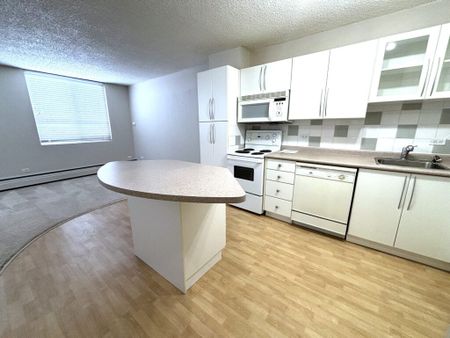 Edmonton Unfurnished apartment Rental in University & Whyte Ave - Central University Studio Perfect for Students or Professionals - Photo 3